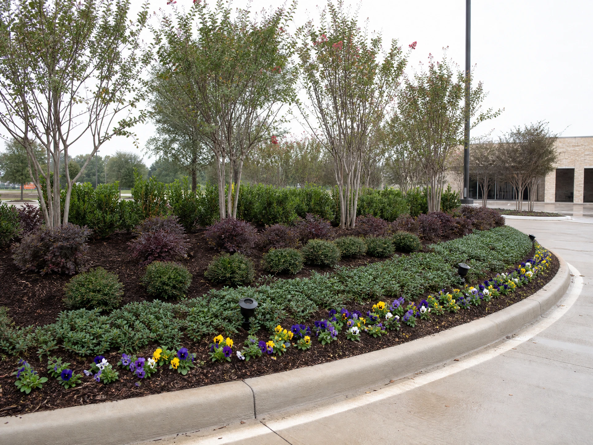 Plants & Greenery installation in Dallas-Fort Worth, Texas