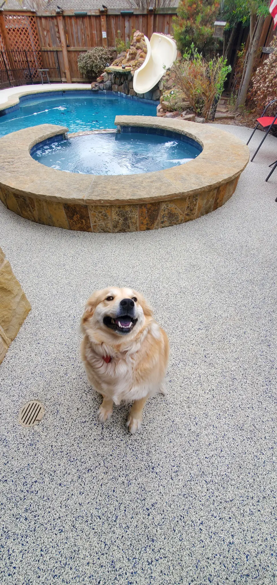Golden retriever on rubber pool deck with hot tub